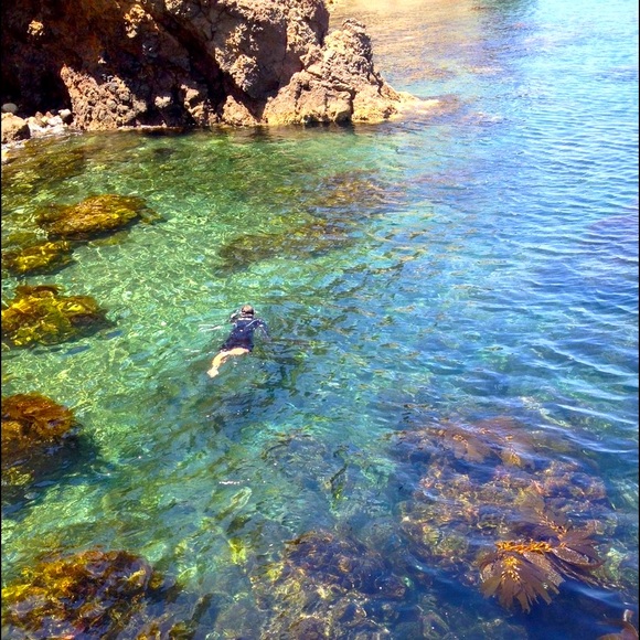 POSH AMBASSADOR⭐️@venturasunshine - Picture 4 of 8